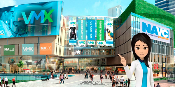 VMX goes digital with virtual expo hall