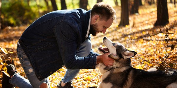 Human-animal bond central in One Health course
