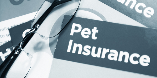 MetLife acquisition reflects growing pet insurance market