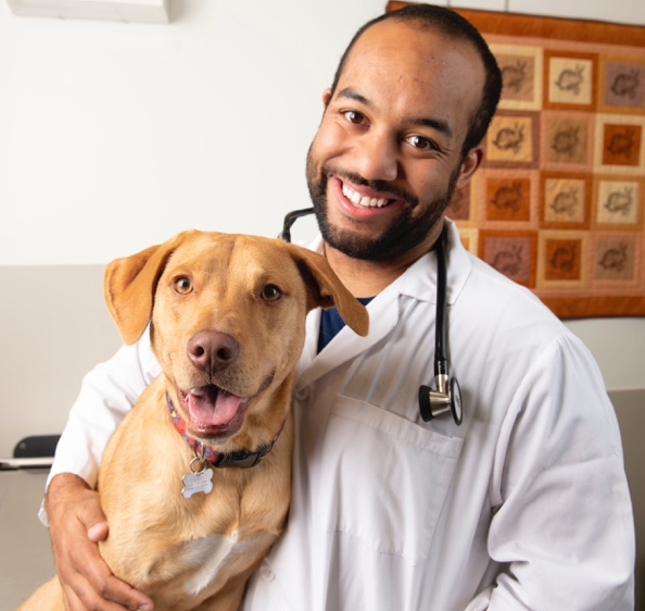 Practice management focus of UC Davis certificate program - Veterinary