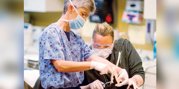 Training for dental success