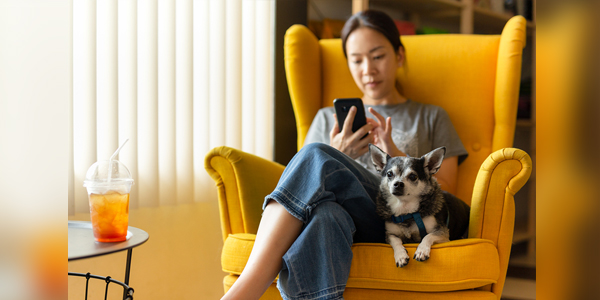 VitusVet, Nationwide surpass one million mobile insurance claims