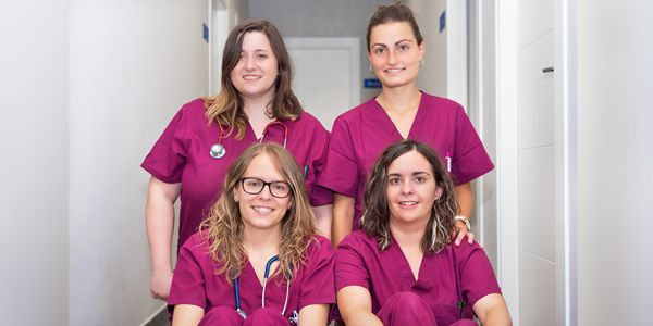 LIU veterinary students to learn entrepreneurial, management skills