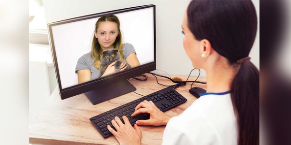 Emerging ethical discussions in veterinary connected care