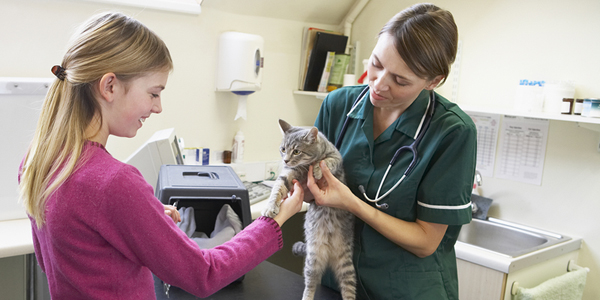 SAGE partnership puts comprehensive care first