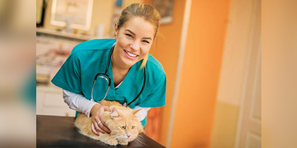 Preventive care diagnostics: Benefiting patients while growing your practice
