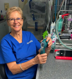 Port Macquarie Koala hospital director Cheyne Flanagan noticed faster healing times when using this laser on the koalas, and quickly added the modality to the facility’s regular treatment regimen.