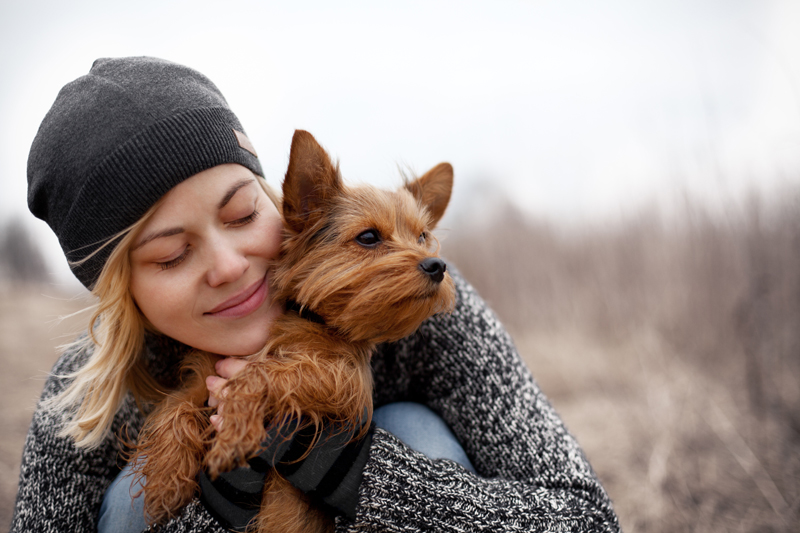 combo heartworm and flea medicine