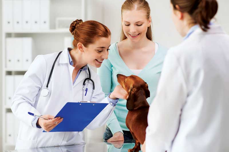 Pet insurance: Learning from the U.K.