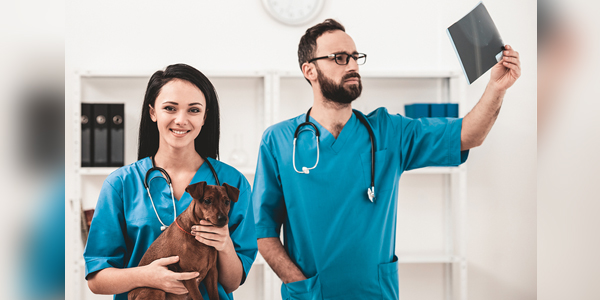 Technology-based specialties wave of the veterinary future