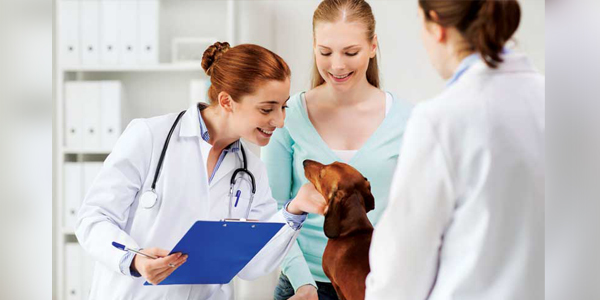 Pet insurance: Learning from the U.K.