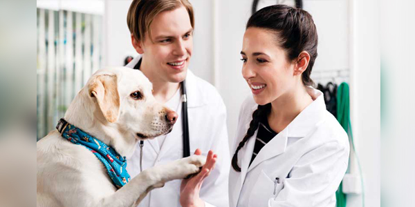 Employee assistance programs: The basics