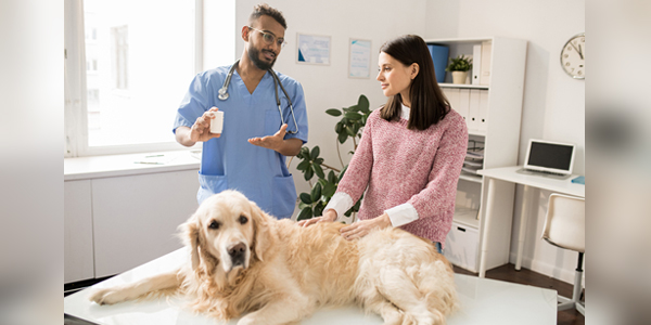 Veterinary insight drives pet medication industry