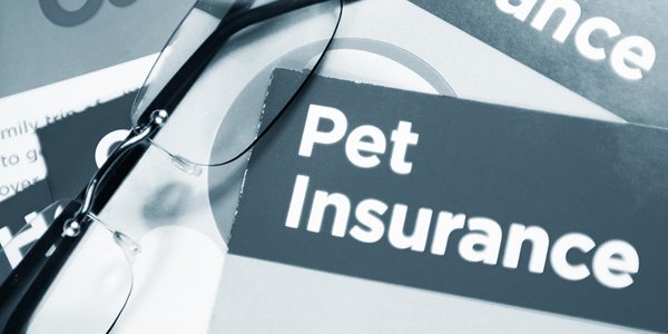 Trupanion marks half a million dogs, cats insured