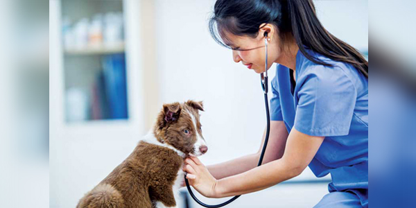 Identifying congenital heart disease