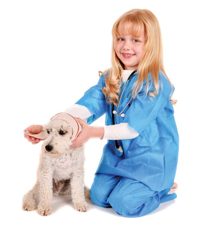 Photo courtesy aabejon/iStock/Getty Images Plus Plant the seeds for the next generation of veterinarians by encouraging anyone showing interest. Consider also participating in career days at the local schools. In short, be more passionate than anyone else there.
