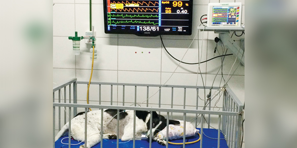 The case for multiparameter patient monitoring systems