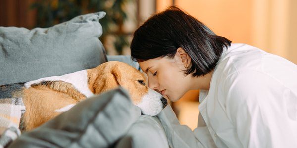 AAHA: Anesthesia prep begins at home