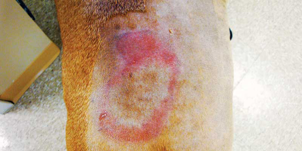Avoid getting in trouble with heating devices