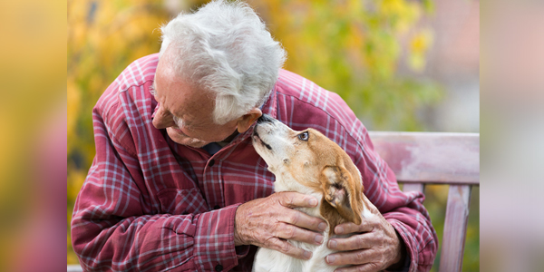 Pets reduce loneliness, social isolation in people