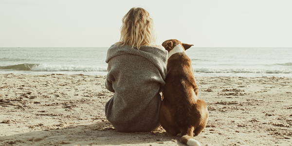 Insurer prioritizes bond between pets, owners