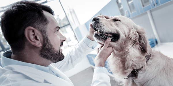 Resource aims to boost essential medicine accessibility