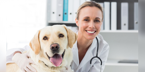 Calm clients’ COVID-19 concerns, WSAVA says