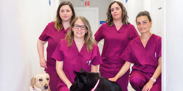 What the COVID-19 relief package means to veterinarians