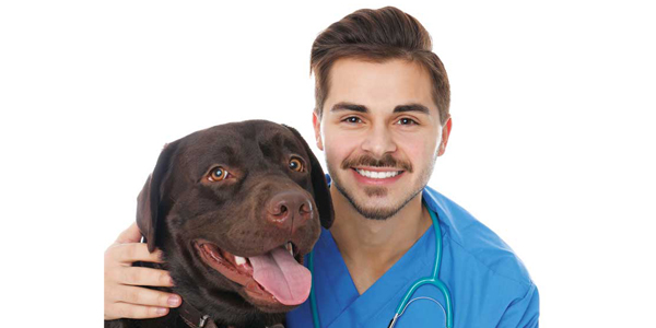 How to use technicians as physician assistants