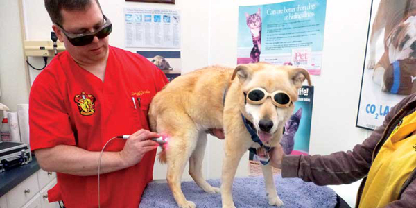 Tips for purchasing your first therapy laser