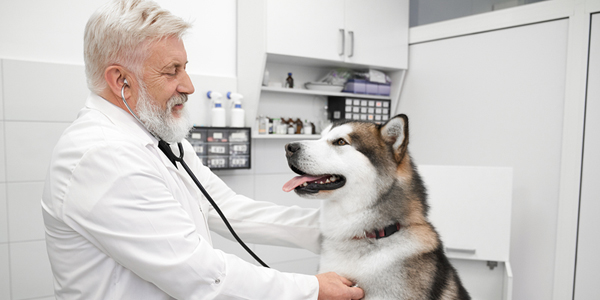 How are you triaging patients in this “new normal”?