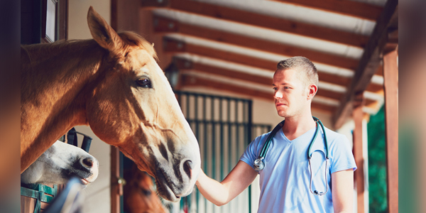 DVM program tackles rural veterinary shortage