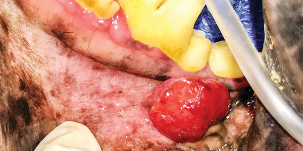 Making the case for incisional biopsy in oral surgical oncology