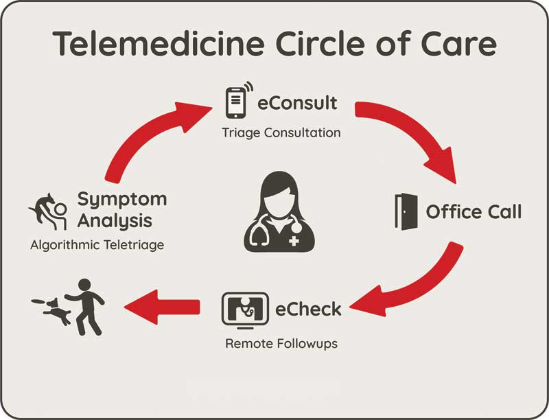 Figure 1: A telehealth platform can provide an adequate assessment of a pet’s situation after-hours by facilitating the gathering of symptoms and other clinical data while maintaining veterinarian-client-patient-relationship (VCPR) compliance. Photo courtesy Shlomo Freiman