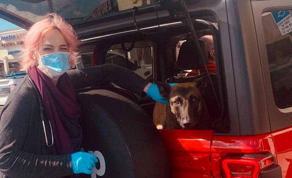 From the trenches: Veterinary musings from a pandemic-rattled brain