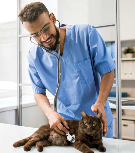 Photo courtesy shironosov/iStock / Getty Images Plus To ensure the greatest chance of success with preventive care screenings, practices need the right preventive care protocols in place, too.
