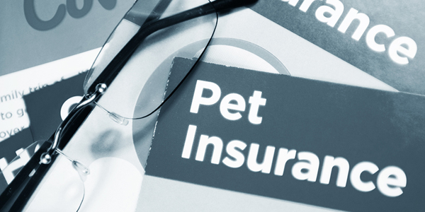 Insurance companies expand partnership into 49 states