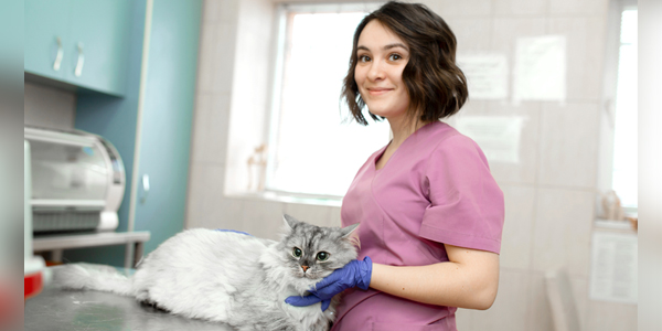 $200k in grants available for veterinary technicians, nurses