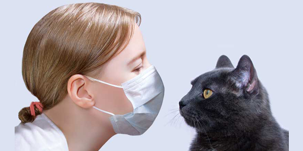 Got allergies? Welcome to the club (of veterinary masochists)