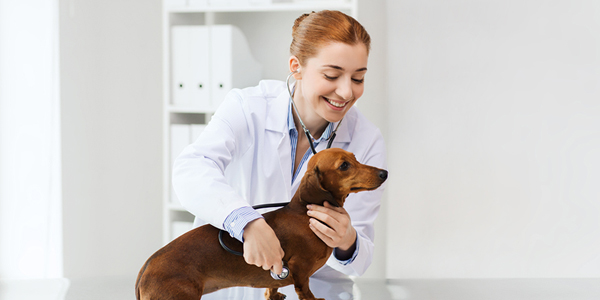 Preventive care could rise post-pandemic