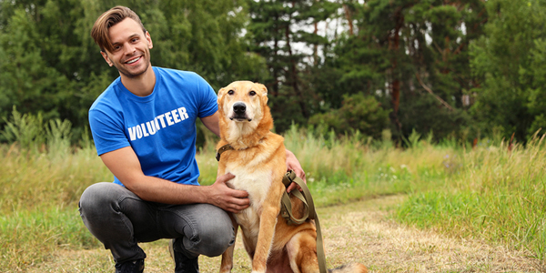 Support shelters get $400k shot in the arm