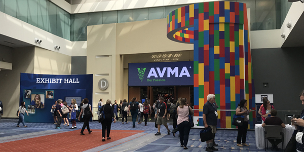 AVMA Convention stays virtual for 2021