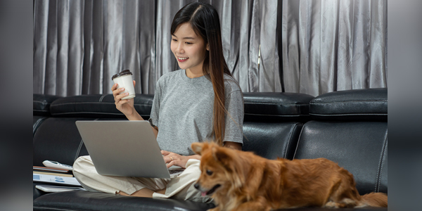 Platform bridges veterinarian-client conversations virtually