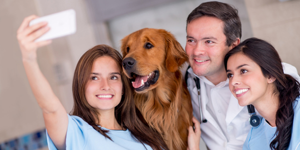 Post-pandemic social media marketing: What do you need to know?