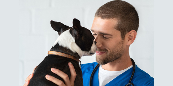 Veterinary Appreciation Day gets sweet
