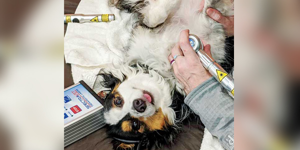 Rehabilitation therapy: A client-driven field
