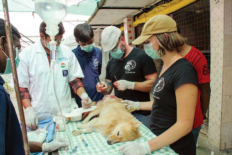When working abroad, Dr. Redford often performs surgeries spur of the moment.