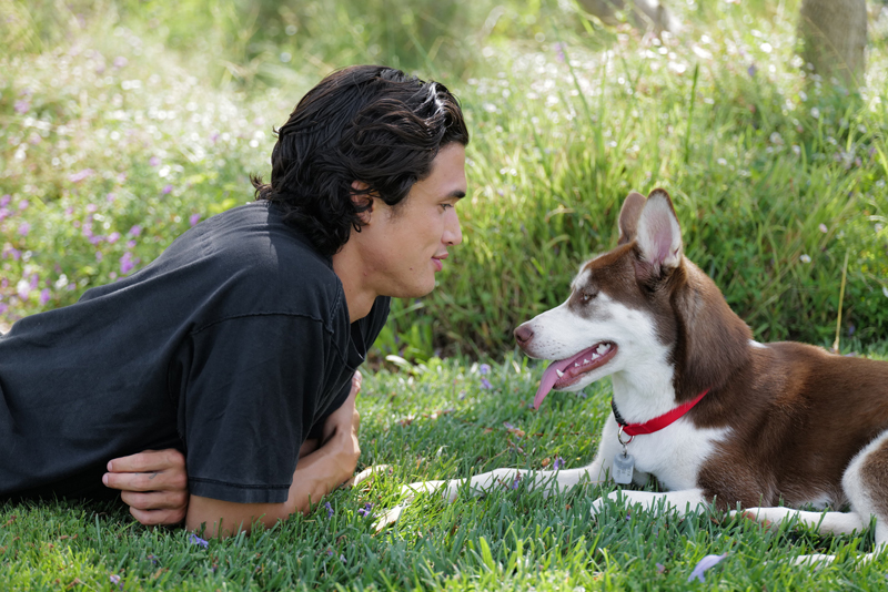 Photo courtesy Purina One Charles Melton and his Husky, Neya. Photo courtesy Purina One