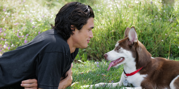 Shelter dogs find celeb advocate