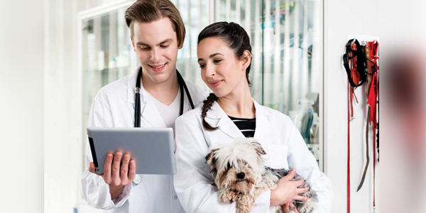 What’s next for cloud software? Better mobile access